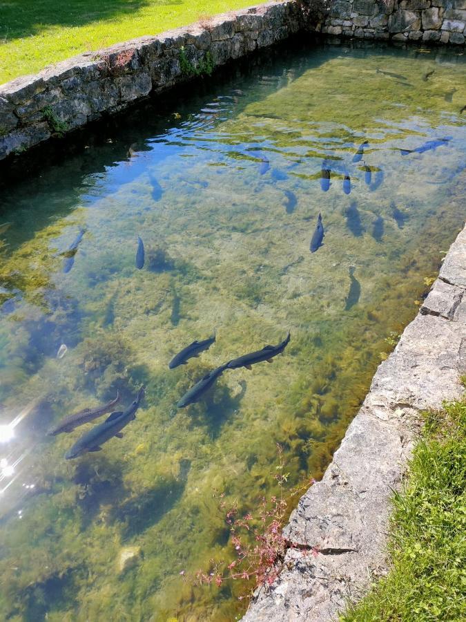 Les Pieds Dans L'Eau, Gite La Source Lachapelle-Auzac Dış mekan fotoğraf
